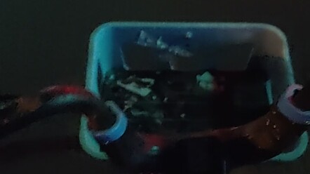 你 的 名 字