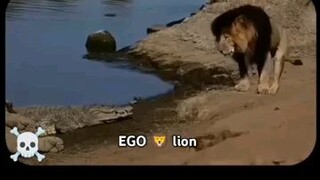 Ego 🔥