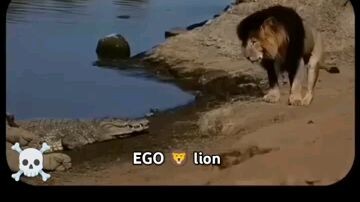 Ego 🔥