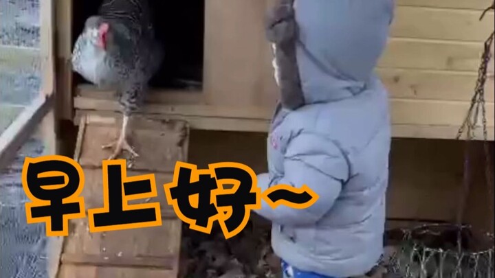 Selamat Pagi 🐔 | Tentang Kebajikan Para Penikmat Makanan 🤭 | Malam Halloween Si Minion Kuning 🎃 | Sa