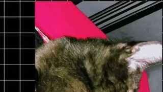 ☺️😽