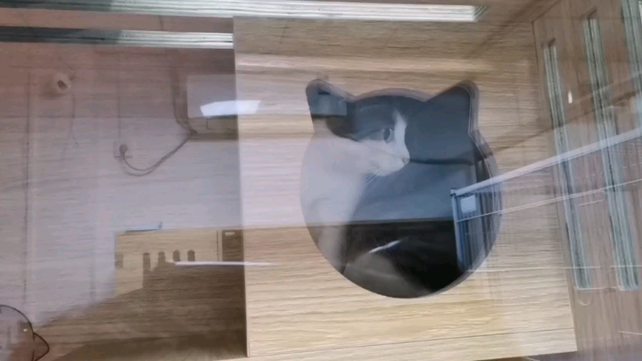 Hilarious! She took the 80,000 and entrusted her pet to the vet—then absolutely roasted the guy who’