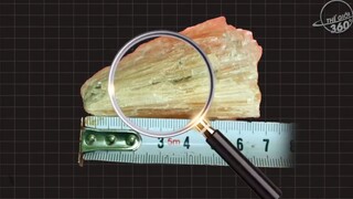 9 Báu Vật Khổng Lồ Xuất Hiện Ngay Sau Sân Nhà Những Người Siêu May Mắn