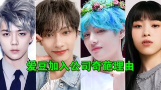 (أسباب عجيبة لانضمام آيدولز KPOP إلى شركاتهم) كل واحد أغرب من الآخر