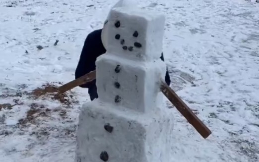 Minecraft: จะเกิดอะไรขึ้นถ้าคุณสร้างตุ๊กตาหิมะในชีวิตจริง??