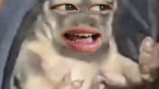أنا حقا بلا كلام