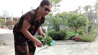 Hướng dẫn Nhặt rau4.mp4