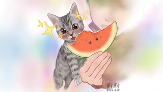 猫猫：好吃到瞳孔突然放大！以前都过的什么苦日子啊？