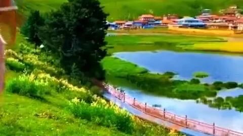 ##beutiful view♥️♥️♥️♥️