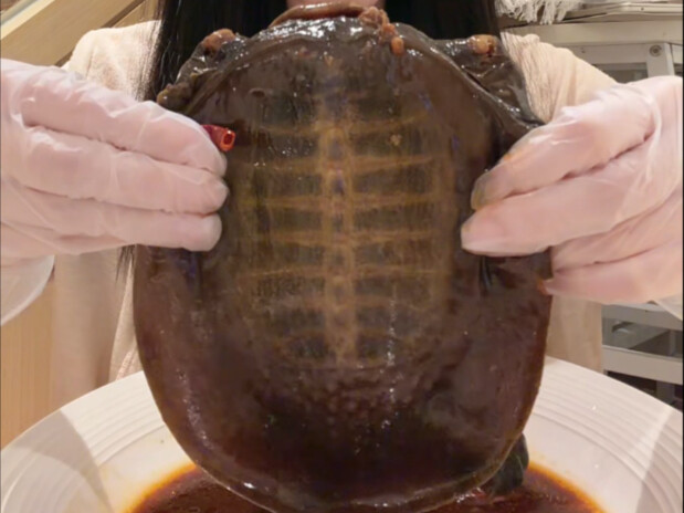 I’ve tasted the best turtle of my life!