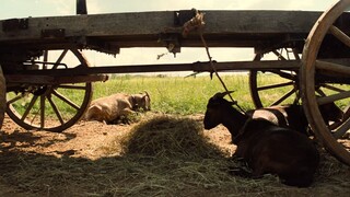 THE MAGNIFICENT SEVEN (2016) SUB INDO