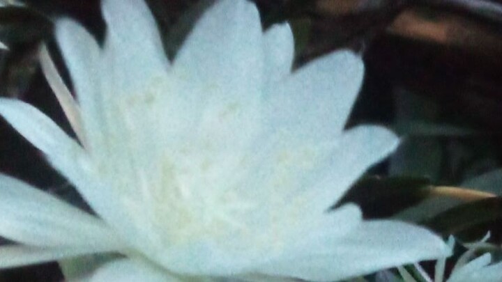 Marhaban Yaa Syahru Rajab