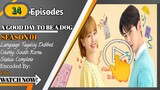 A Good Day To Be a Dog episode  14 Tagalog Dubbed