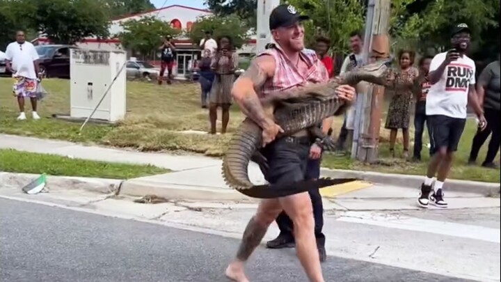 鳄鱼：谁还不是个宝宝呢