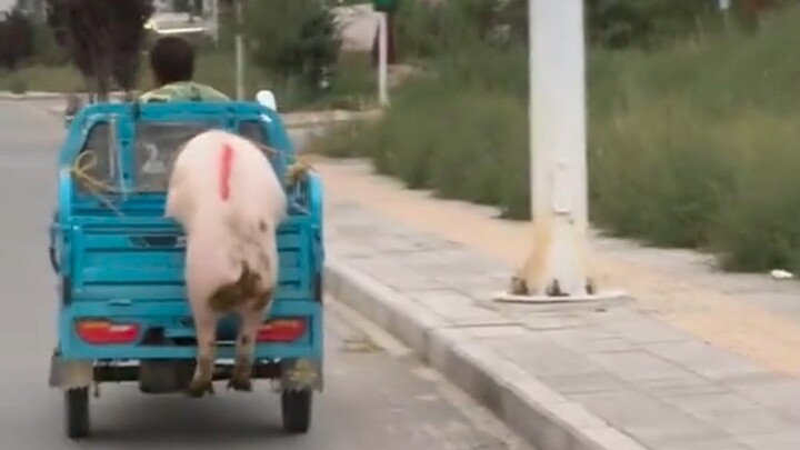 ฮ่าๆๆ ขำมาก!!