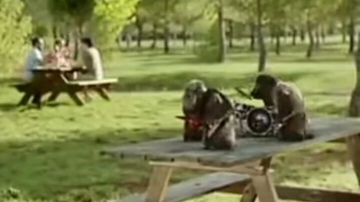 all the love in the world- The outfield (chipmunk cover)