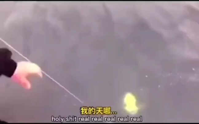 SpongeBob: Tôi nghe nói rằng bạn đã tìm kiếm tôi trong thời gian này