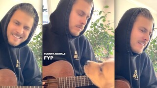 أعتقد أنني وقعت في الحب ❤️