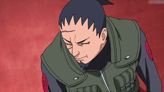 Naruto không nghiêm túc: Shikamaru, thiên tài yếu nhất