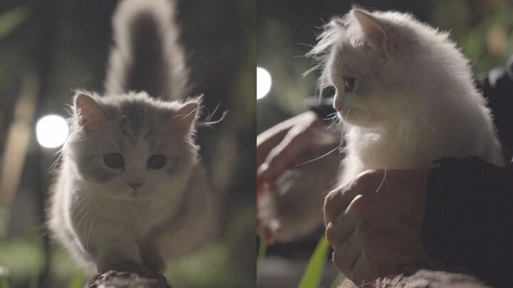 The night sky stretches endlessly, yet you’re so adorable you practically glow.