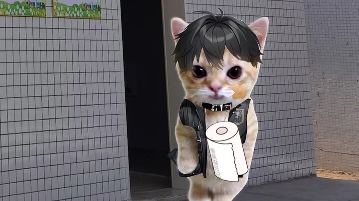 อาหารกลางวันของแมวน้อยกล้วยถูกตุ๊กตาอันธพาลแย่งไป