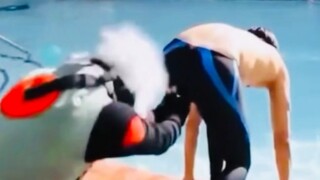 在漫展用千年杀的卡卡西