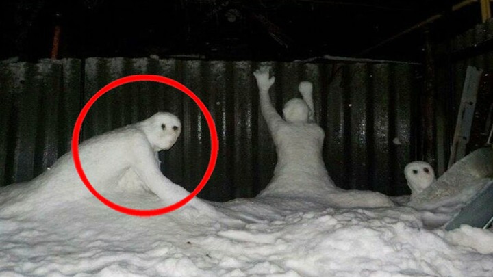 If a strange snowman appears at your doorstep, don’t hesitate to call the police!