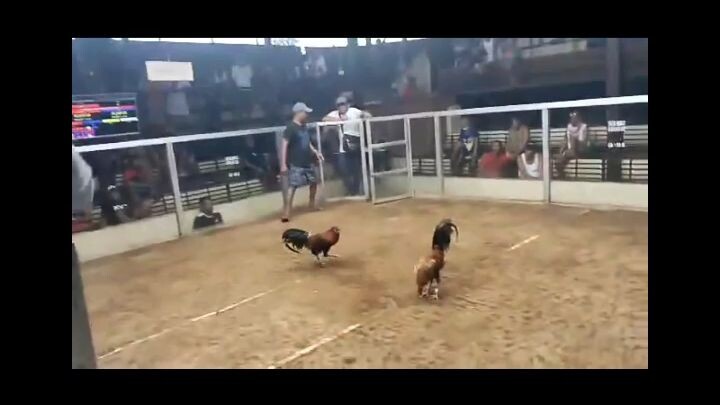 2hits ulutan at indang