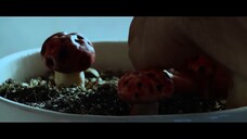 MUSHROOM - Horror Short Film