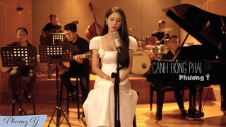 Cánh Hồng Phai - Phương Ý (Cover) | Bài Hát Hay Nhất Về Cuộc Đời Con Gái Nên Nghe Và Ngẫm