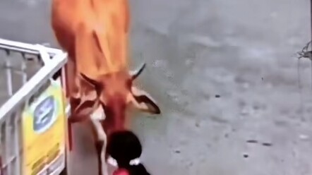 Đoạn hài hước