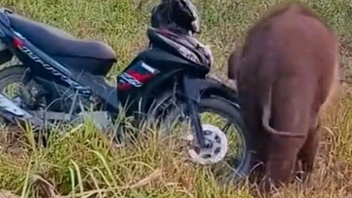 funny moment