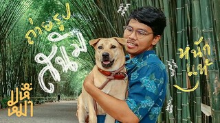 (EN) นครนายก ที่ไม่มีน้ำตก - มหึหมา EP78