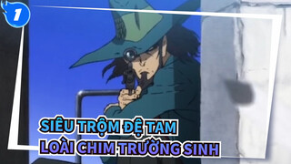 Siêu trộm đệ tam| Loài chim trường sinh_1