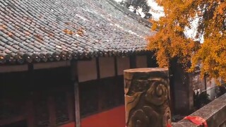 【Wang Anshi】Menyeberangi gunung dan lautan, di usia 30 tahun, dia siap untuk segalanya