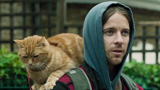 Mặc dù tôi là một người vô gia cư, nhưng con mèo của tôi không phải là mèo hoang