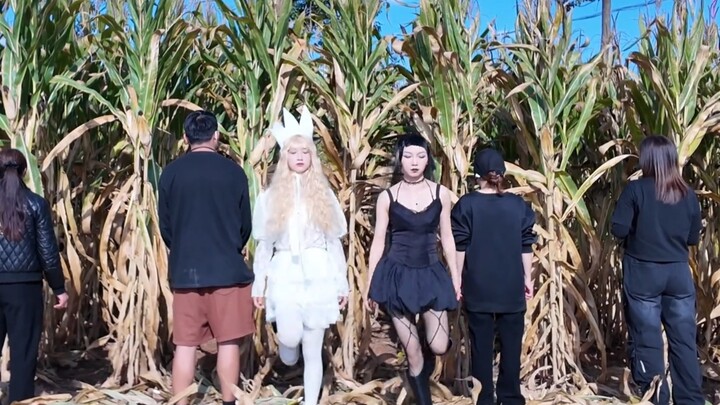 Yunnan mulai merambah komunitas Eropa dan Amerika! KPOP sudah tidak lagi memuaskan mereka!