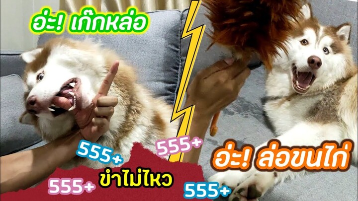 หล่อยังไง ให้ตลกขนาดนี้ 555+