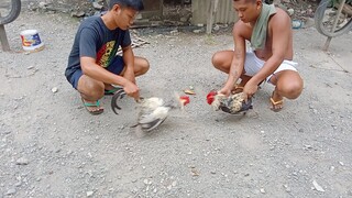 1x winner kanawayon lose in 2nd fight