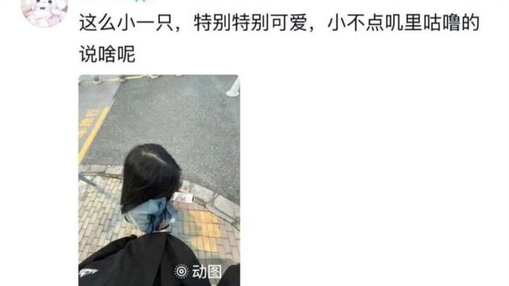 A tiny 160cm girl just shattered my heart 😭