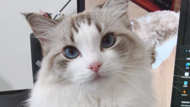 Harus aku yang mulai baru kamu berani sentuh aku??