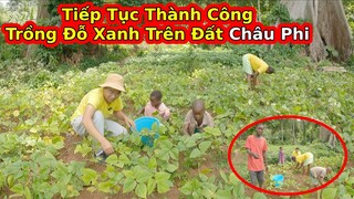 Tập 171: Thu hoạch thành quả Đỗ Xanh Việt Nam ở châu Phi||2Q Vlogs Cuộc Sống Châu Phi