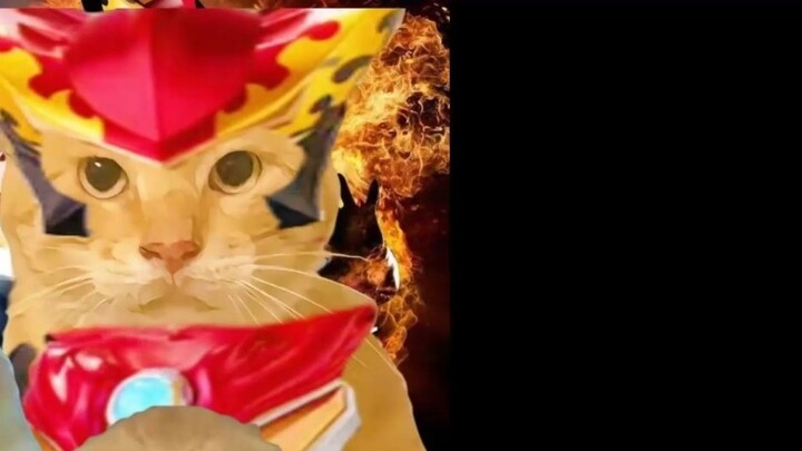 🐱Rob Hadjimi🐱ハチミルーブ