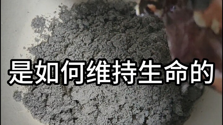 Ultra-low-energy homebody survives on 5 yuan for a whole day