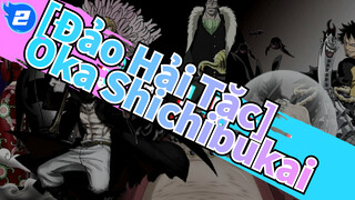 [Đảo Hải Tặc/AMV] Oka Shichibukai_2