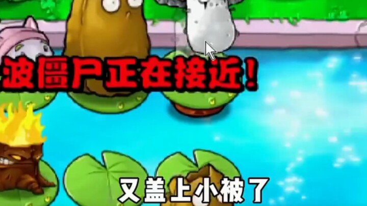 Super Senior (Random Impersonator)