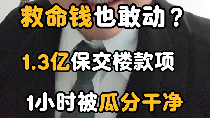 In just one hour, 130 million in “ensure delivery” funds were siphoned off—can it be recovered? Why 