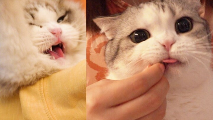 It’s just a little nail trim! How can the difference be SO huge?