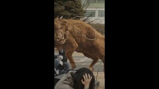 I can't stop laughing😂😂😂🤣🤣|| #jungwoo #parkseyoung #leeyoomi #mentalcoachjegal #kdrama #favpickedit