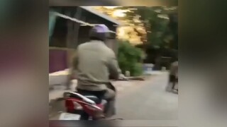 Vừa học 2 tiết tiếng anh kiểu #cliphai